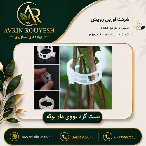بست گرد یووی دار بوته
