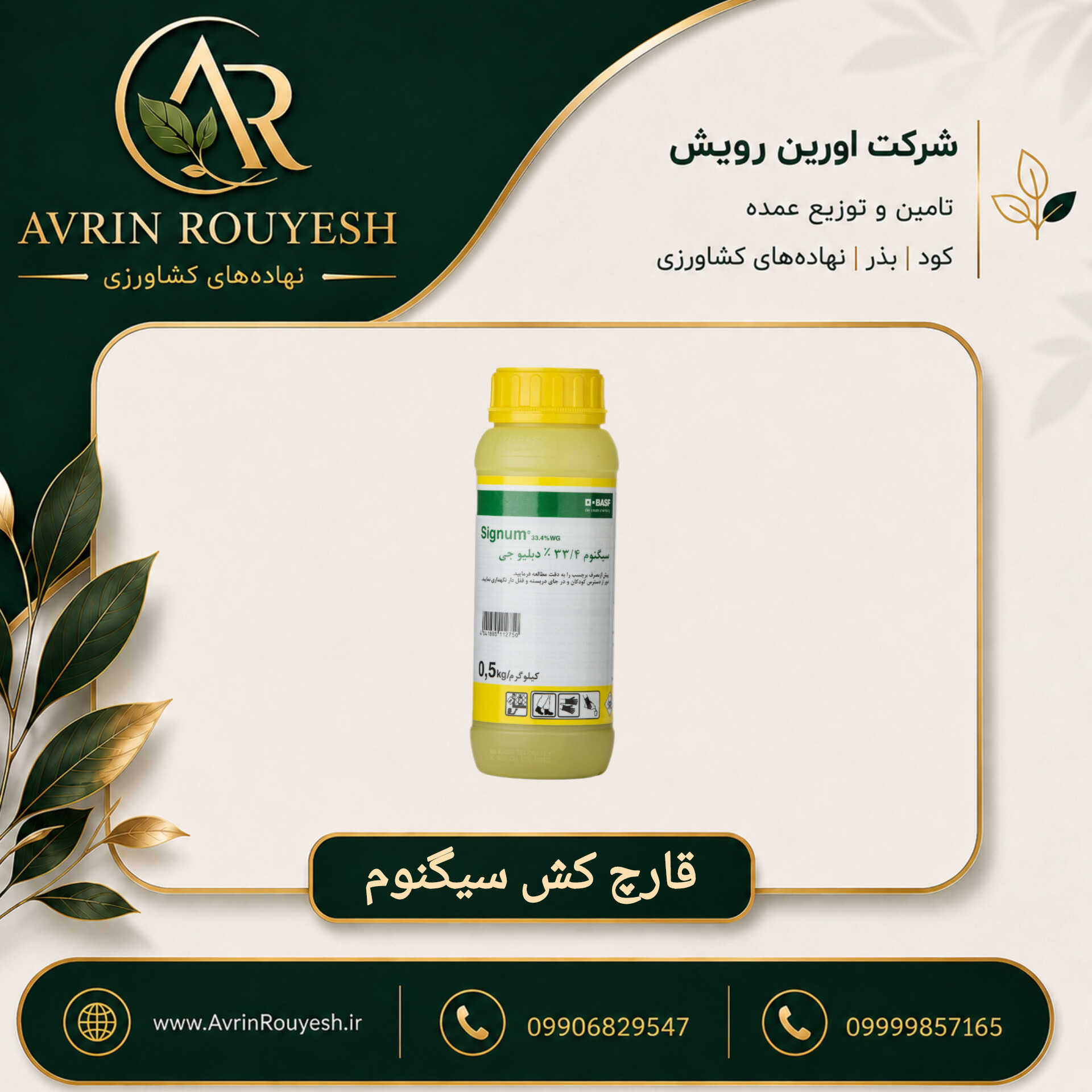 سم قارچ‌کش سیگنوم BASF
