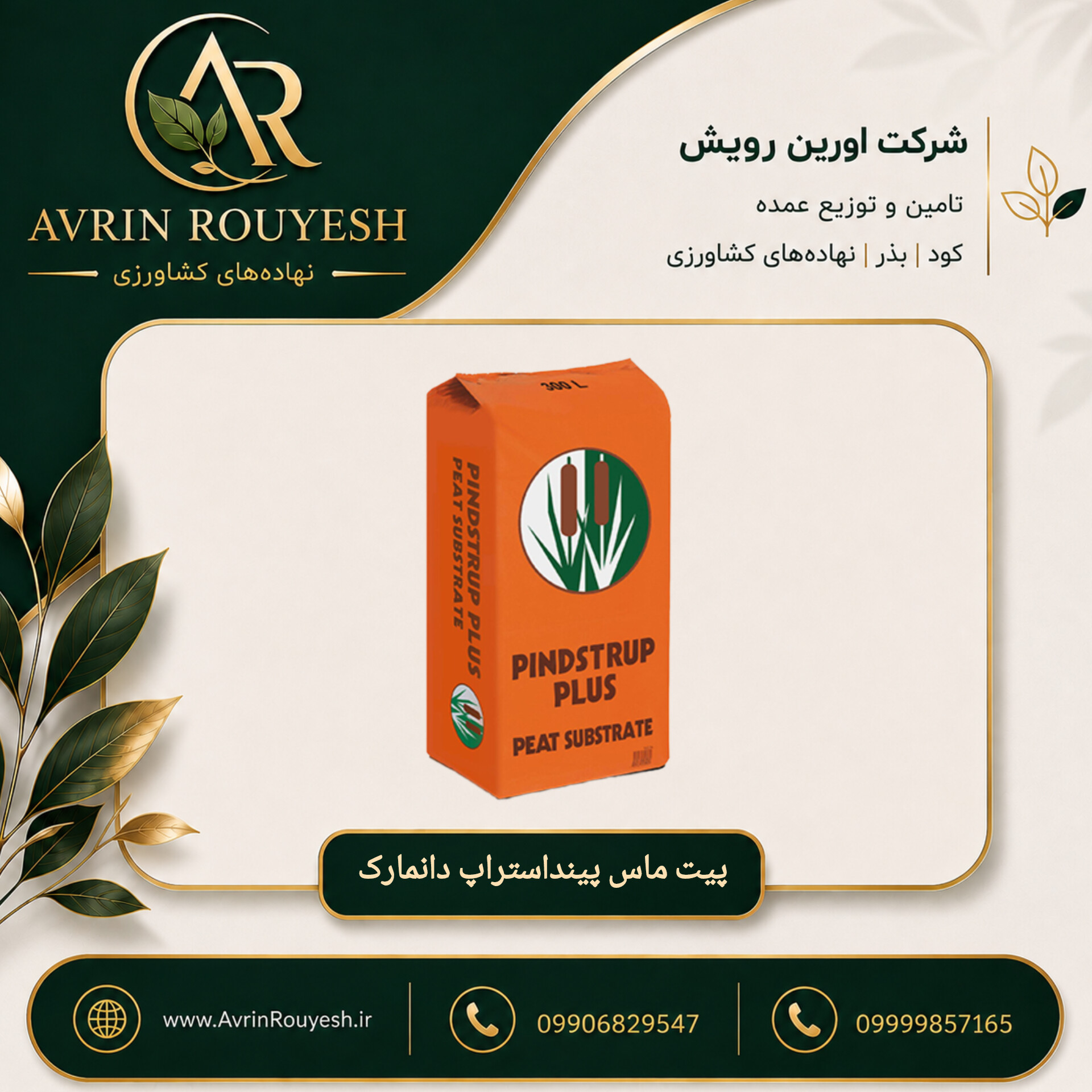 پیت ماس پینداستراپ دانمارک (وارداتی)