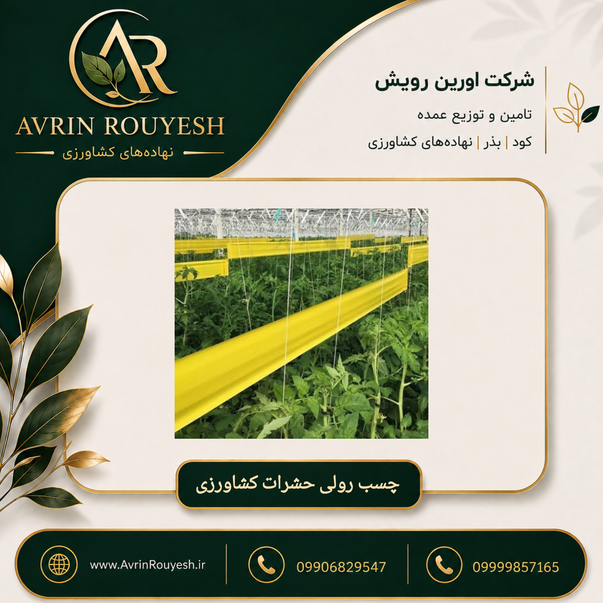 چسب رولی حشرات کشاورزی و گلخانه‌ای ۳۰ سانتی‌متری ترک (وارداتی)