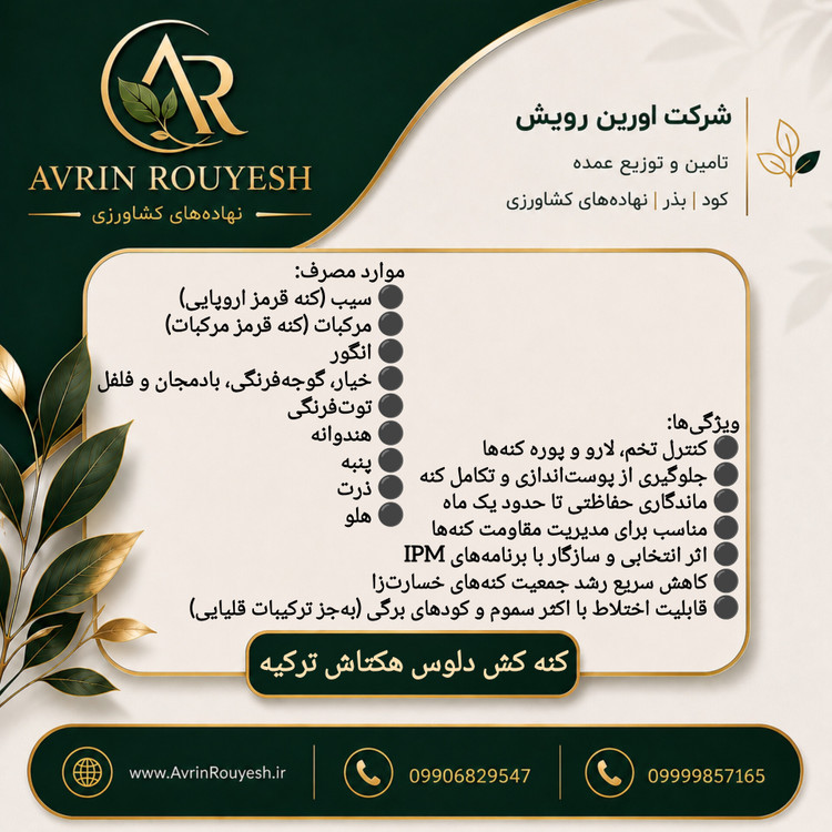 کنه کس دلوس 1 لیتری هکتاش ترکیه